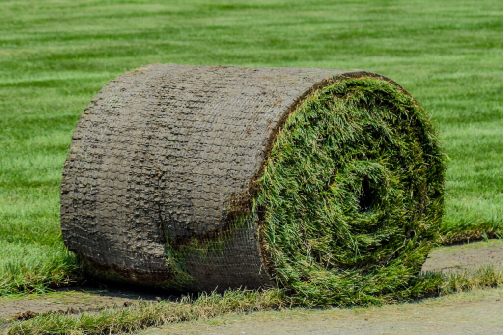 Contractor Sod